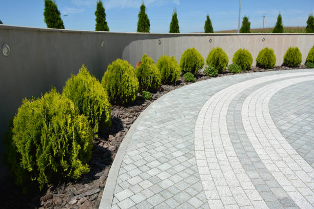 Best Local Driveway Pavers  in Horizon West, FL